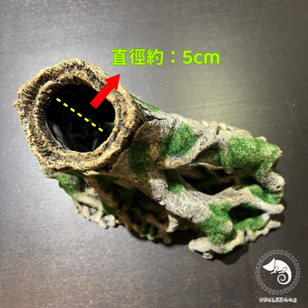 蛋叔叔-MR-造景樹根(大)/樹洞/魚缸造景/樹皮/守宮洞/守宮屋/洞穴/巨人守宮/睫角守宮/造景/樹洞/螯蝦/劍毒蛙-細節圖8