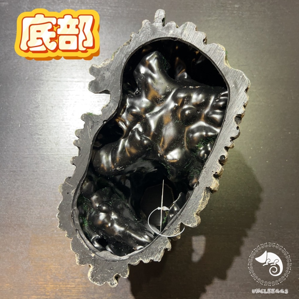 蛋叔叔-MR-造景樹根(大)/樹洞/魚缸造景/樹皮/守宮洞/守宮屋/洞穴/巨人守宮/睫角守宮/造景/樹洞/螯蝦/劍毒蛙-細節圖9