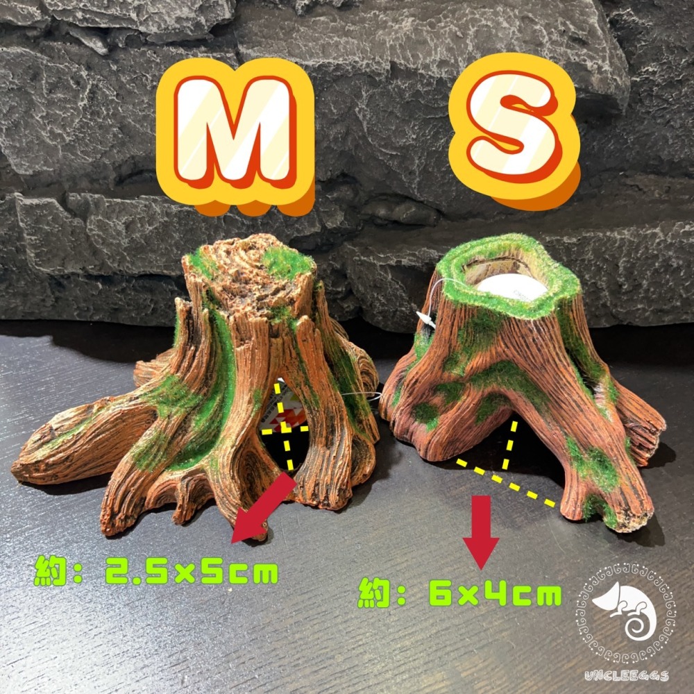 蛋叔叔-MR-造景樹根/魚缸造景/樹皮/水草缸/燈科魚/兩棲造景/雨林景/箭毒蛙/蠑螈/樹洞/螯蝦/短鯛/寄居蟹-細節圖3