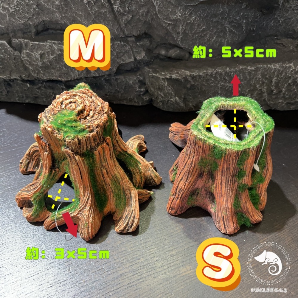 蛋叔叔-MR-造景樹根/魚缸造景/樹皮/水草缸/燈科魚/兩棲造景/雨林景/箭毒蛙/蠑螈/樹洞/螯蝦/短鯛/寄居蟹-細節圖7