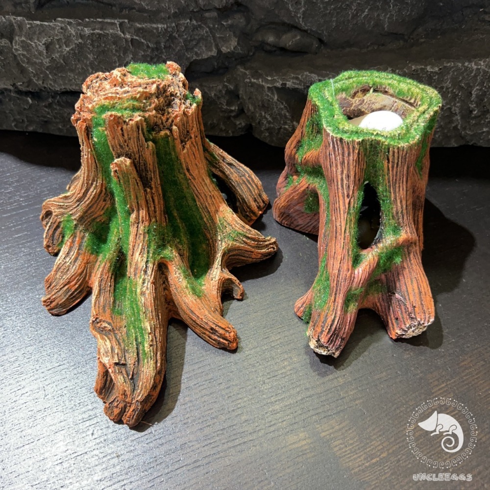 蛋叔叔-MR-造景樹根/魚缸造景/樹皮/水草缸/燈科魚/兩棲造景/雨林景/箭毒蛙/蠑螈/樹洞/螯蝦/短鯛/寄居蟹-細節圖8