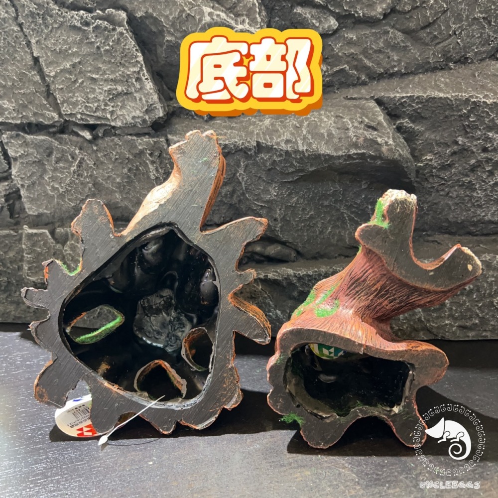 蛋叔叔-MR-造景樹根/魚缸造景/樹皮/水草缸/燈科魚/兩棲造景/雨林景/箭毒蛙/蠑螈/樹洞/螯蝦/短鯛/寄居蟹-細節圖9