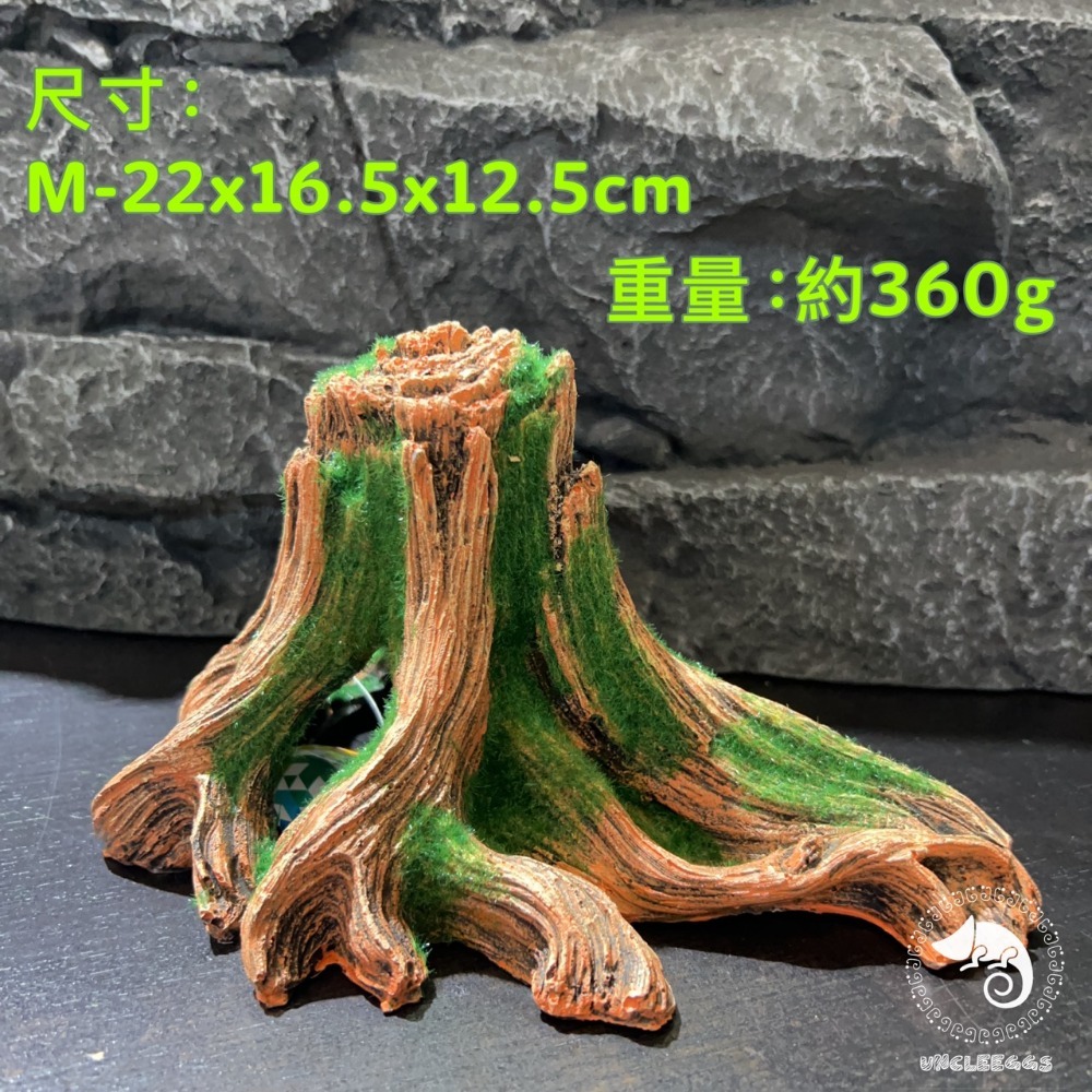 蛋叔叔-MR-造景樹根/魚缸造景/樹皮/水草缸/燈科魚/兩棲造景/雨林景/箭毒蛙/蠑螈/樹洞/螯蝦/短鯛/寄居蟹-規格圖9