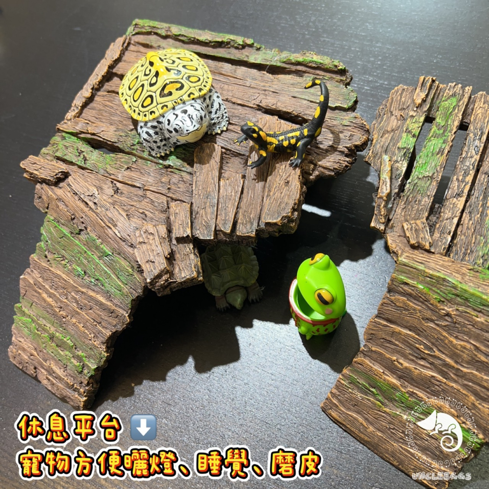 蛋叔叔-木棧道烏龜爬台/曬台/烏龜島/浮島/木紋/巴西龜/鑽紋龜/台灣龜/地圖龜/浮台/幼龜/浮島/爬台/爬梯-細節圖2