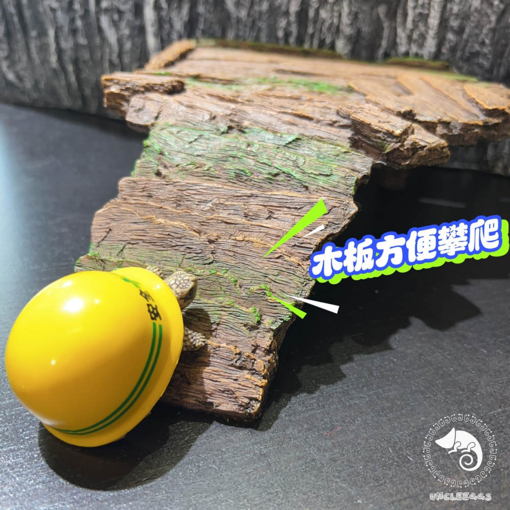 蛋叔叔-木棧道烏龜爬台/曬台/烏龜島/浮島/木紋/巴西龜/鑽紋龜/台灣龜/地圖龜/浮台/幼龜/浮島/爬台/爬梯-細節圖3