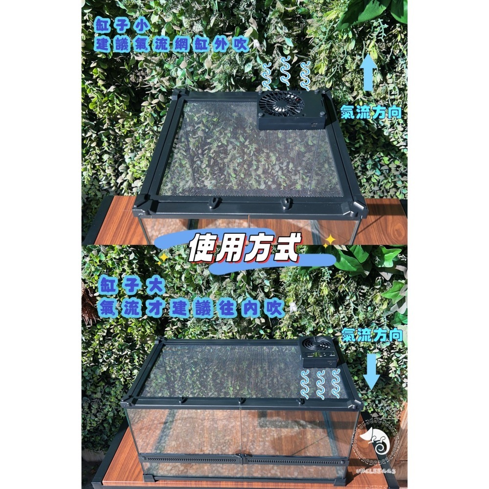 蛋叔叔-NOMO-溫濕度觀測風扇/散熱/排風扇/通風扇/雨林缸/溫度觀測/濕度控制/生態缸/溫度計/通風/降溫-細節圖4