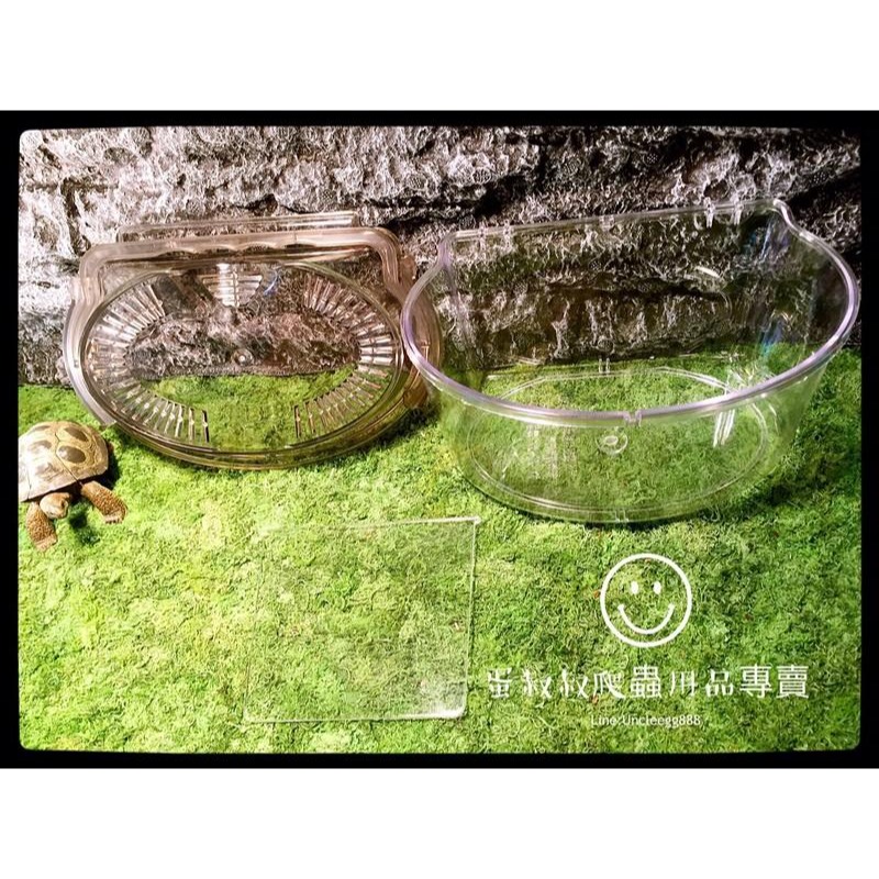 蛋叔叔-專業級飼育箱/甲蟲箱/昆蟲箱/昆蟲盒/獨角仙/鍬形蟲/鼠婦/壓克力盒/外出籠/空箱/外出箱/外出盒/觀察箱/野採-細節圖2
