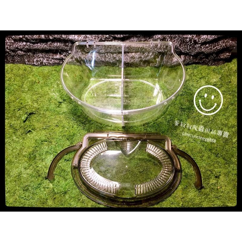 蛋叔叔-專業級飼育箱/甲蟲箱/昆蟲箱/昆蟲盒/獨角仙/鍬形蟲/鼠婦/壓克力盒/外出籠/空箱/外出箱/外出盒/觀察箱/野採-細節圖3