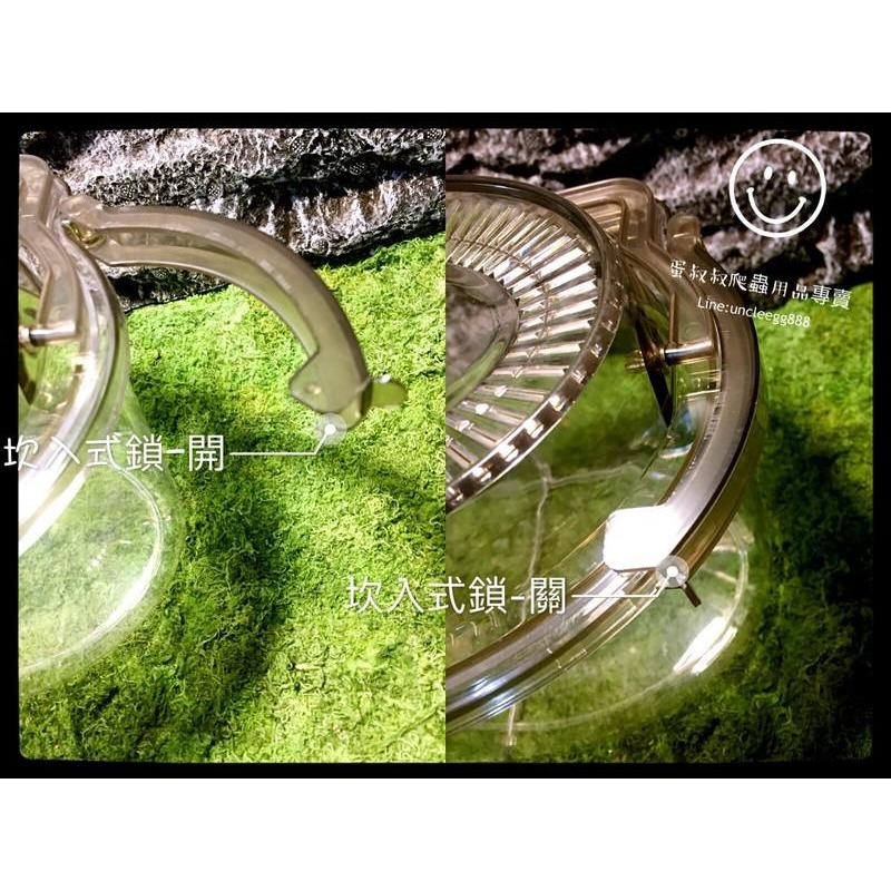 蛋叔叔-專業級飼育箱/甲蟲箱/昆蟲箱/昆蟲盒/獨角仙/鍬形蟲/鼠婦/壓克力盒/外出籠/空箱/外出箱/外出盒/觀察箱/野採-細節圖4