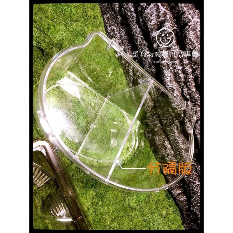 蛋叔叔-專業級飼育箱/甲蟲箱/昆蟲箱/昆蟲盒/獨角仙/鍬形蟲/鼠婦/壓克力盒/外出籠/空箱/外出箱/外出盒/觀察箱/野採-細節圖6