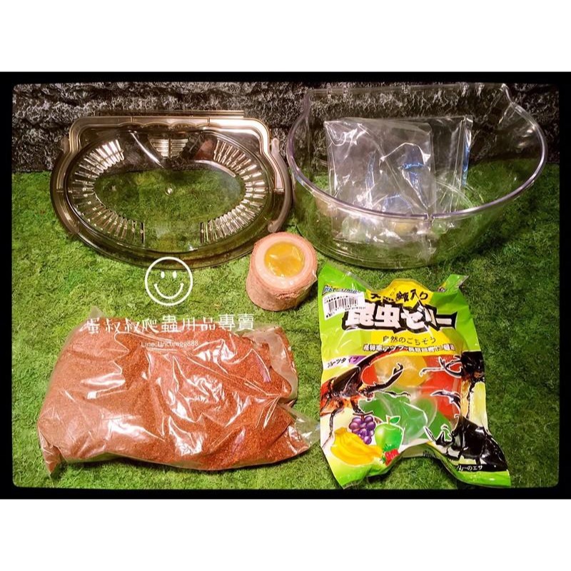 蛋叔叔-專業防蟲飼育套件組/甲蟲套組/甲蟲箱/昆蟲盒/飼育箱/獨角仙/鍬形蟲/鼠婦/鬼豔/外出箱/外出盒/觀察箱/野採用-細節圖2