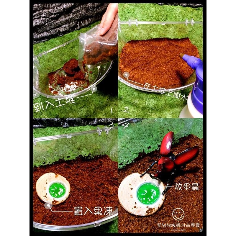 蛋叔叔-專業防蟲飼育套件組/甲蟲套組/甲蟲箱/昆蟲盒/飼育箱/獨角仙/鍬形蟲/鼠婦/鬼豔/外出箱/外出盒/觀察箱/野採用-細節圖3