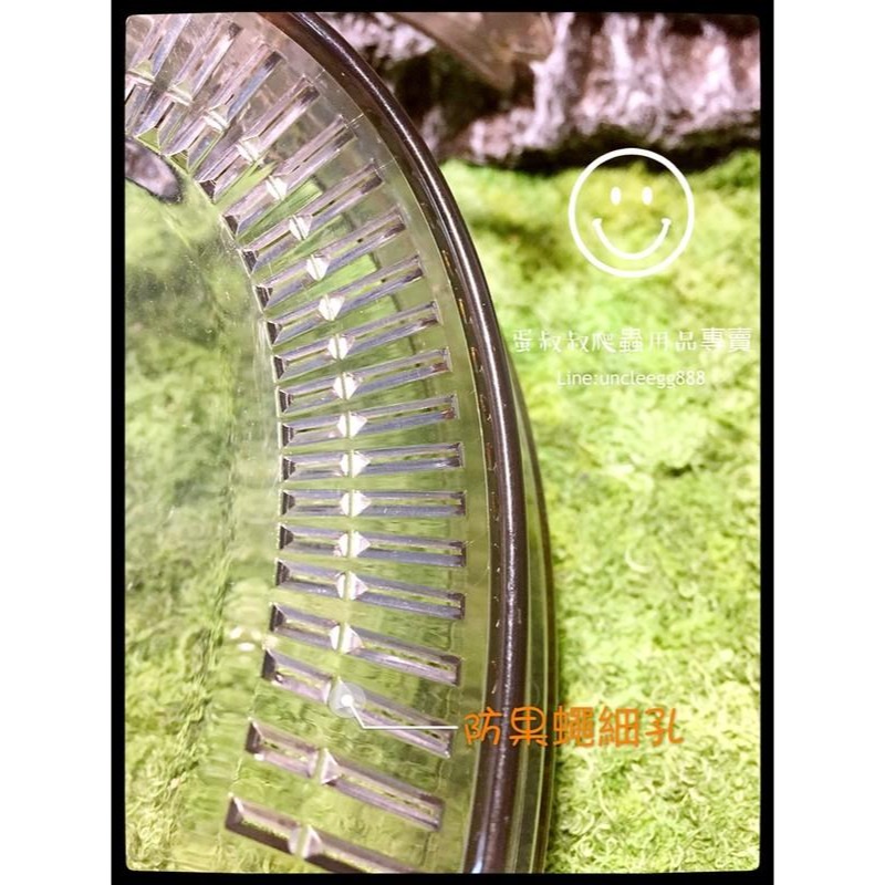 蛋叔叔-專業防蟲飼育套件組/甲蟲套組/甲蟲箱/昆蟲盒/飼育箱/獨角仙/鍬形蟲/鼠婦/鬼豔/外出箱/外出盒/觀察箱/野採用-細節圖4
