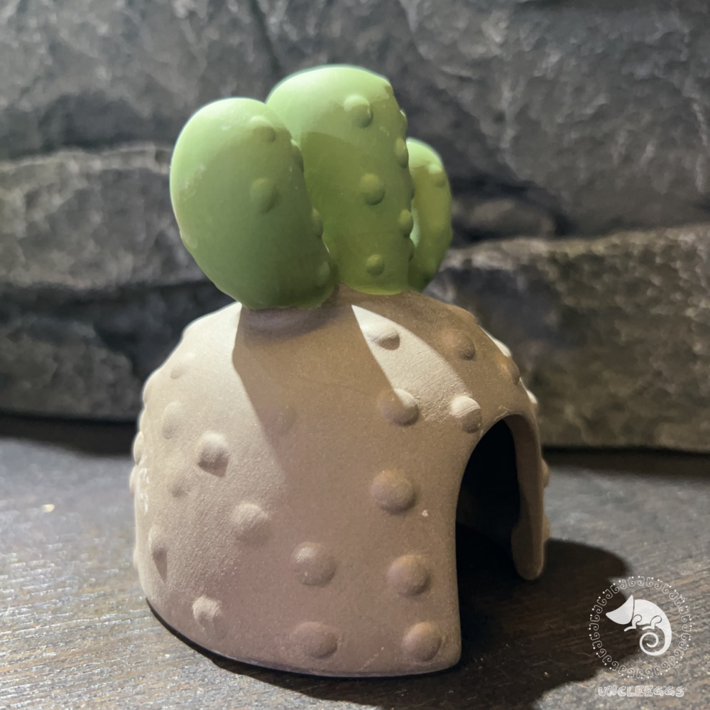 蛋叔叔-MR-黑砂陶瓷仙人掌洞穴/保濕/洞穴/躲藏洞/守宮洞/守宮屋/米蝦/加濕洞/螯蝦/陶瓷屋/蠑螈/短雕/水晶蝦-細節圖4