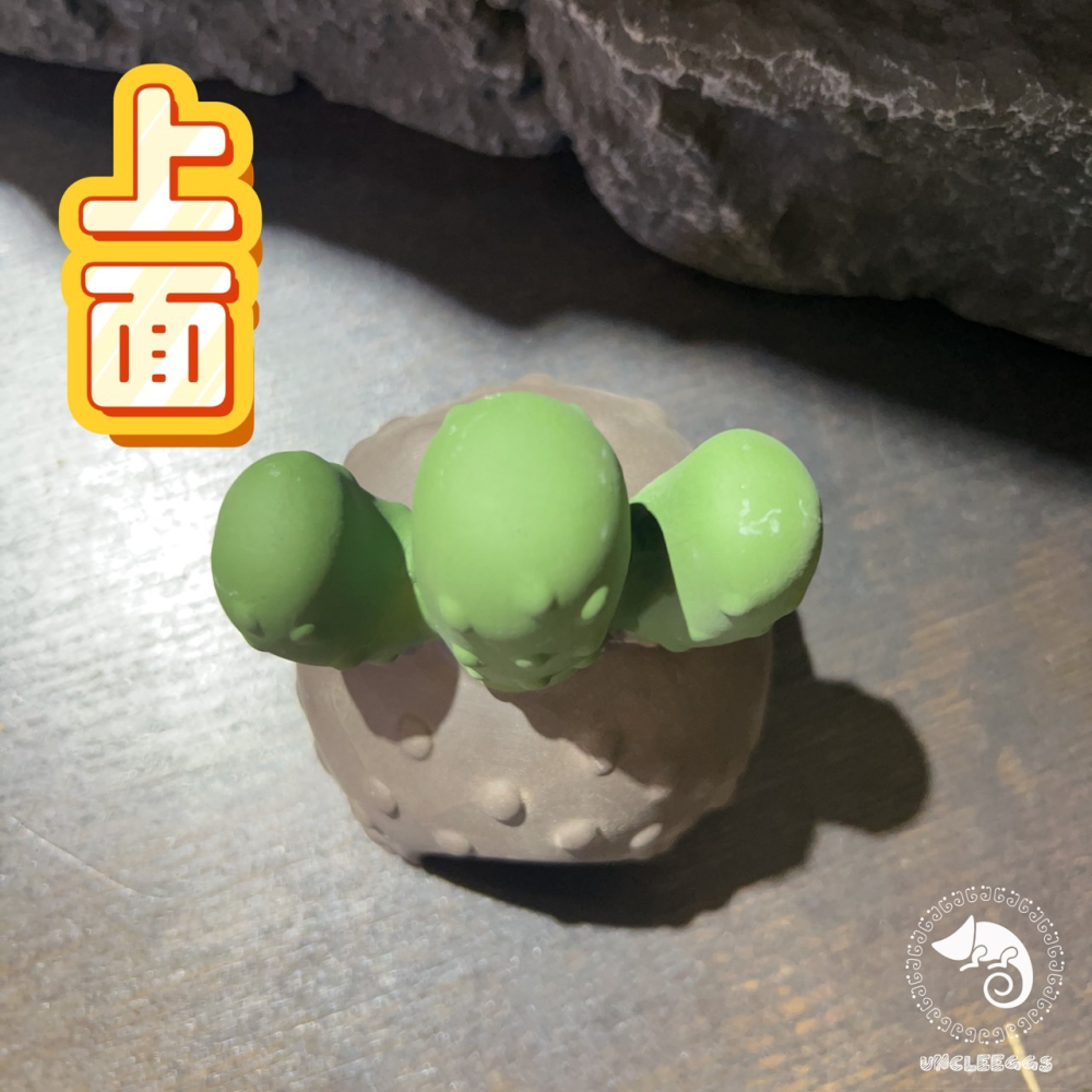 蛋叔叔-MR-黑砂陶瓷仙人掌洞穴/保濕/洞穴/躲藏洞/守宮洞/守宮屋/米蝦/加濕洞/螯蝦/陶瓷屋/蠑螈/短雕/水晶蝦-細節圖5