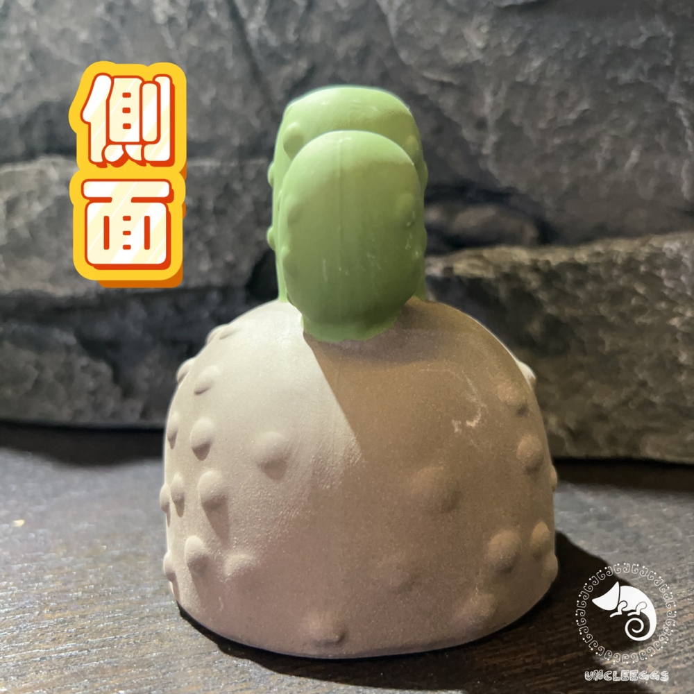 蛋叔叔-MR-黑砂陶瓷仙人掌洞穴/保濕/洞穴/躲藏洞/守宮洞/守宮屋/米蝦/加濕洞/螯蝦/陶瓷屋/蠑螈/短雕/水晶蝦-細節圖6