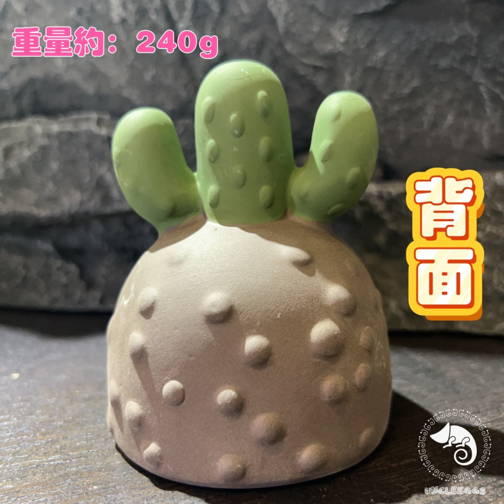 蛋叔叔-MR-黑砂陶瓷仙人掌洞穴/保濕/洞穴/躲藏洞/守宮洞/守宮屋/米蝦/加濕洞/螯蝦/陶瓷屋/蠑螈/短雕/水晶蝦-細節圖7