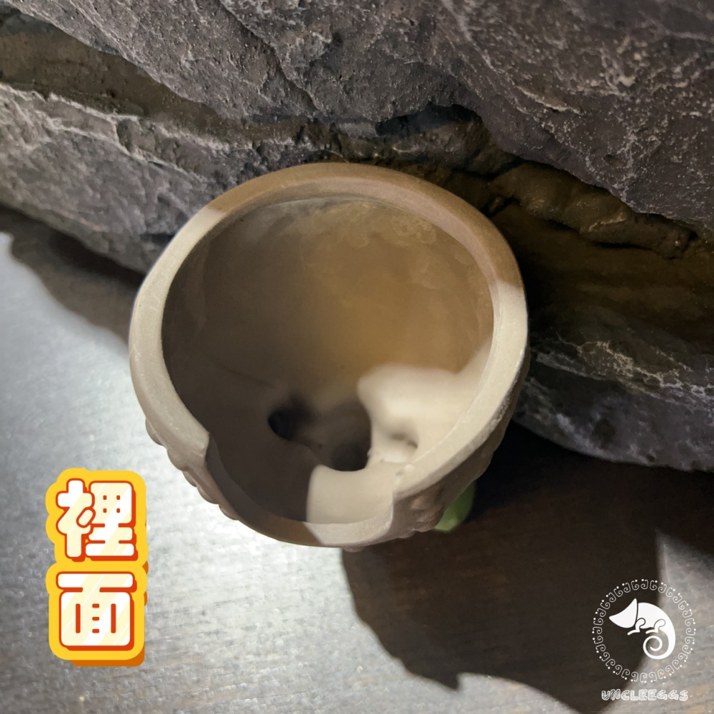蛋叔叔-MR-黑砂陶瓷仙人掌洞穴/保濕/洞穴/躲藏洞/守宮洞/守宮屋/米蝦/加濕洞/螯蝦/陶瓷屋/蠑螈/短雕/水晶蝦-細節圖8