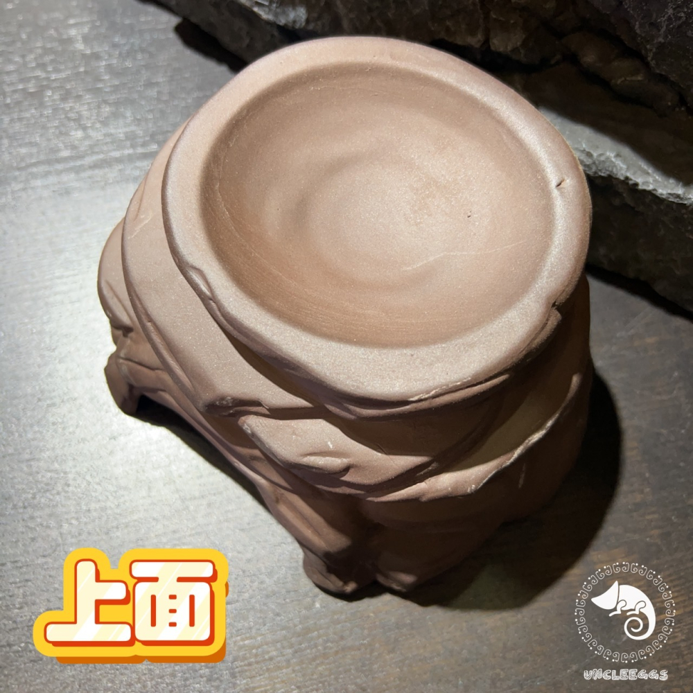 蛋叔叔-MR-紫砂陶推石屋/陶瓷洞穴/守宮洞/守宮屋/洞穴/藍舌蜥/曬台/蠍子/保濕/螯蝦/豹紋守宮/蛇洞/肥尾守宮-細節圖5