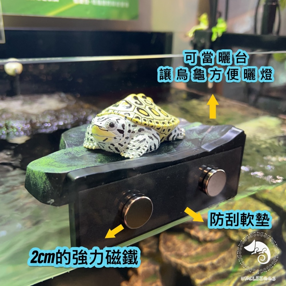 蛋叔叔-NOMO-磁吸式曲面爬台/浮台/爬台/曬台/烏龜島/3D景/紅眼樹蛙/巨人守宮/雨林景/造景/睫角守宮/幼龜爬台-細節圖4