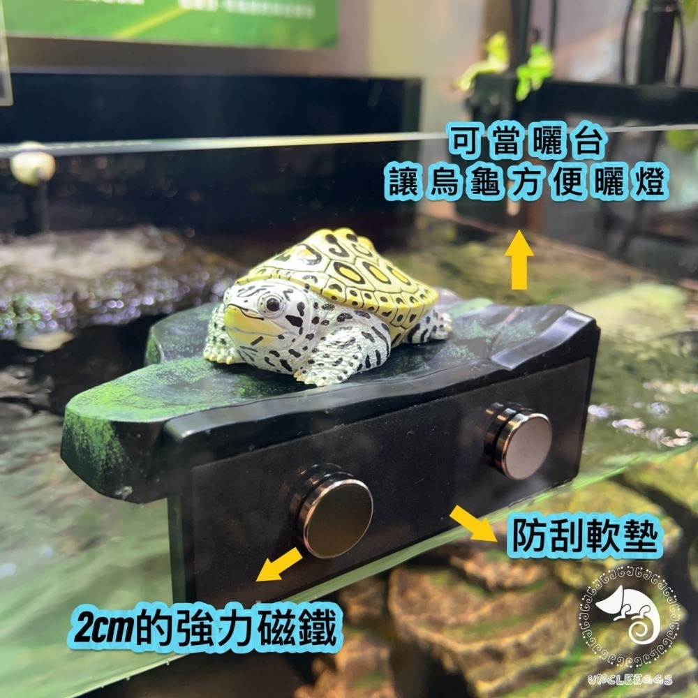 蛋叔叔-NOMO-磁吸式曲面爬台/浮台/爬台/曬台/烏龜島/3D景/紅眼樹蛙/巨人守宮/雨林景/造景/睫角守宮/幼龜爬台-細節圖5