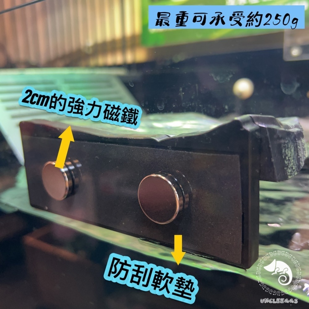 蛋叔叔-NOMO-磁吸式曲面爬台/浮台/爬台/曬台/烏龜島/3D景/紅眼樹蛙/巨人守宮/雨林景/造景/睫角守宮/幼龜爬台-細節圖6