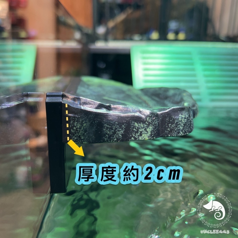 蛋叔叔-NOMO-磁吸式曲面爬台/浮台/爬台/曬台/烏龜島/3D景/紅眼樹蛙/巨人守宮/雨林景/造景/睫角守宮/幼龜爬台-細節圖7