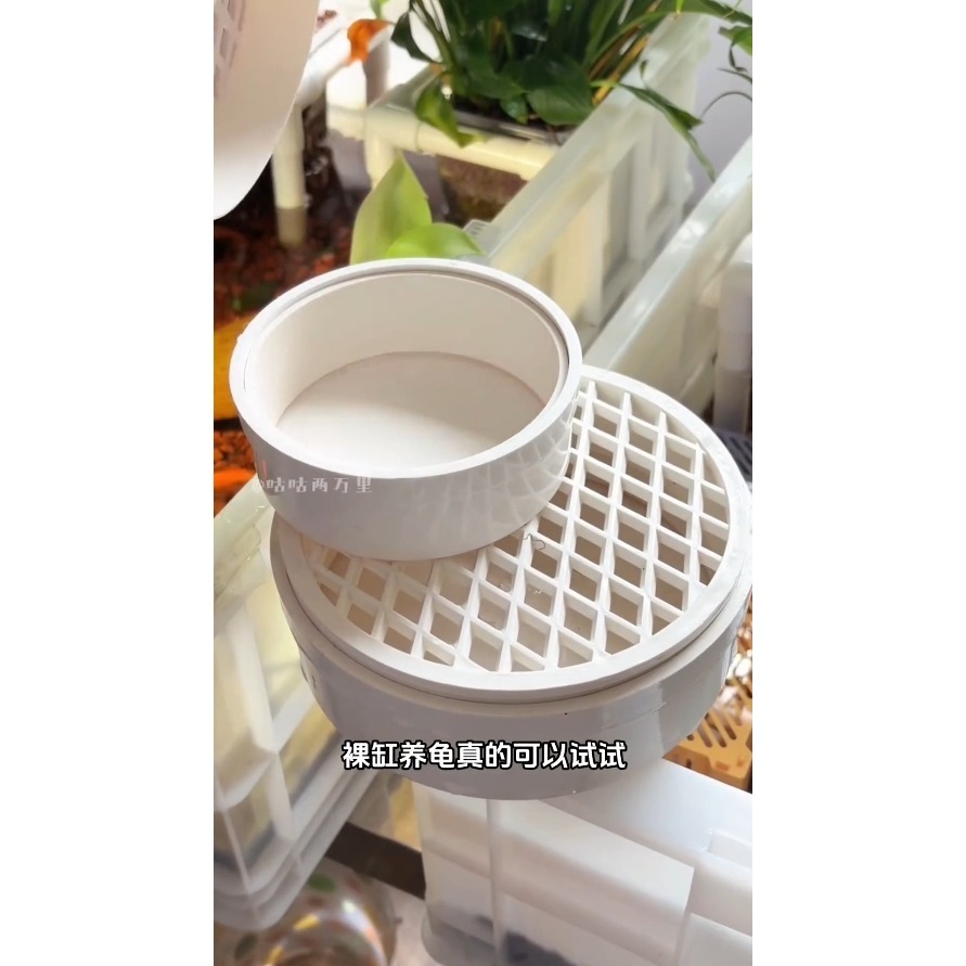蛋叔叔-魚缸集便盒/烏龜便盒/魚便收集器/大便收集器/集塵盒/延長換水/爬台/墊腳石/懶人缸/過濾器/裸缸清潔/集便器-細節圖6