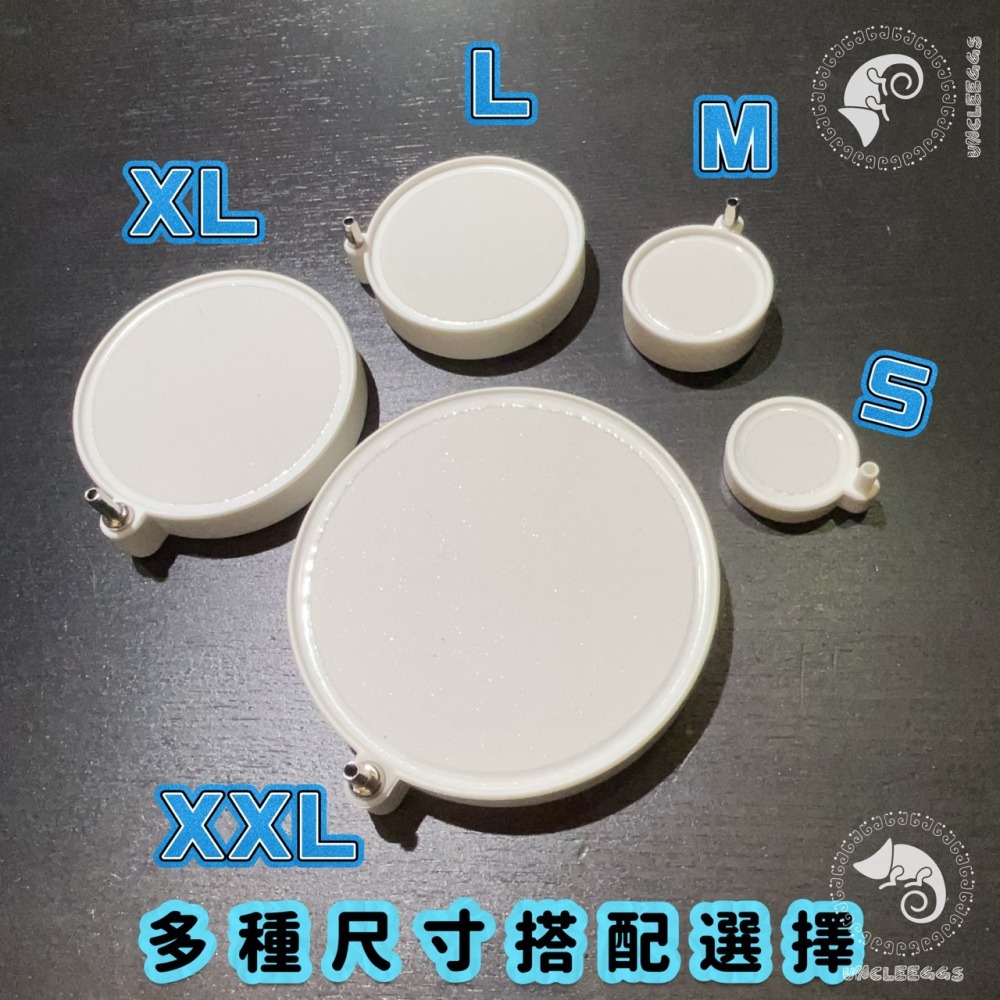 蛋叔叔-低氣壓氣泡盤/氣泡缸/氣泡石/打氣石/水草缸/含氧/孔雀魚/龍魚/魟魚/水晶蝦/霧化/微密氣泡/繁殖缸/系統缸-細節圖2