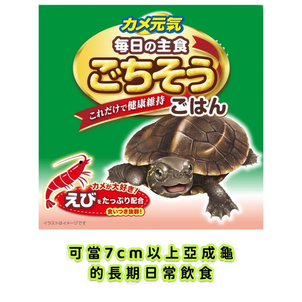 蛋叔叔-GEX-高鈣鮮蝦烏龜主食/亞成龜專用/補鈣/乾蝦/水龜飼料/澤龜飼料/綜合飼料/乾蝦/鮮蝦飼料/鑽紋龜-細節圖4