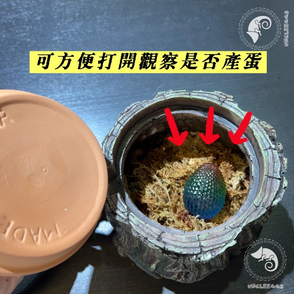 蛋叔叔-陶瓷產蛋樹洞/躲藏洞/躲避屋/加濕洞穴/守宮屋/爬蟲產房/蛋盒/孵蛋盒/產卵器/繁殖/守宮繁殖/守宮洞/躲避屋-細節圖4