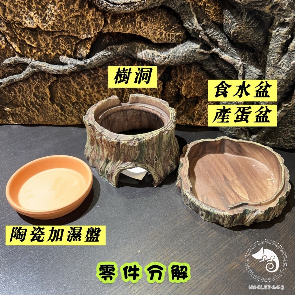蛋叔叔-陶瓷產蛋樹洞/躲藏洞/躲避屋/加濕洞穴/守宮屋/爬蟲產房/蛋盒/孵蛋盒/產卵器/繁殖/守宮繁殖/守宮洞/躲避屋-細節圖6