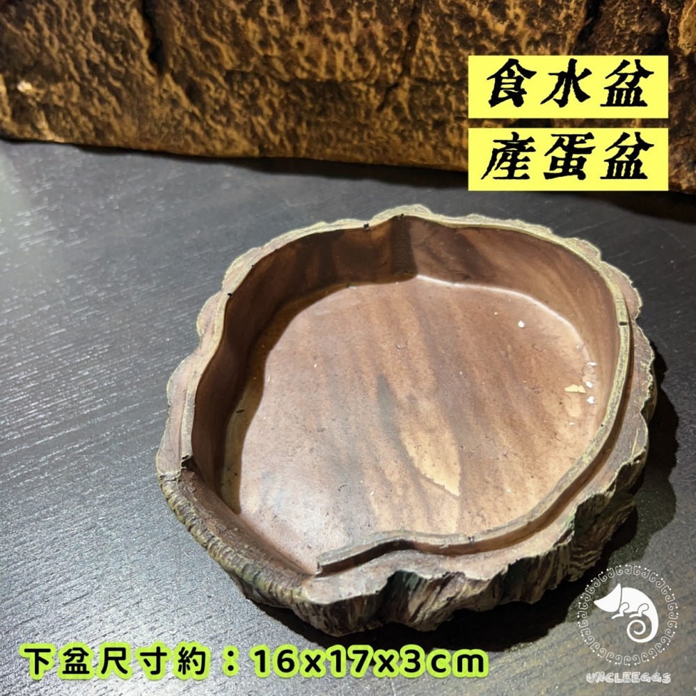 蛋叔叔-陶瓷產蛋樹洞/躲藏洞/躲避屋/加濕洞穴/守宮屋/爬蟲產房/蛋盒/孵蛋盒/產卵器/繁殖/守宮繁殖/守宮洞/躲避屋-細節圖8