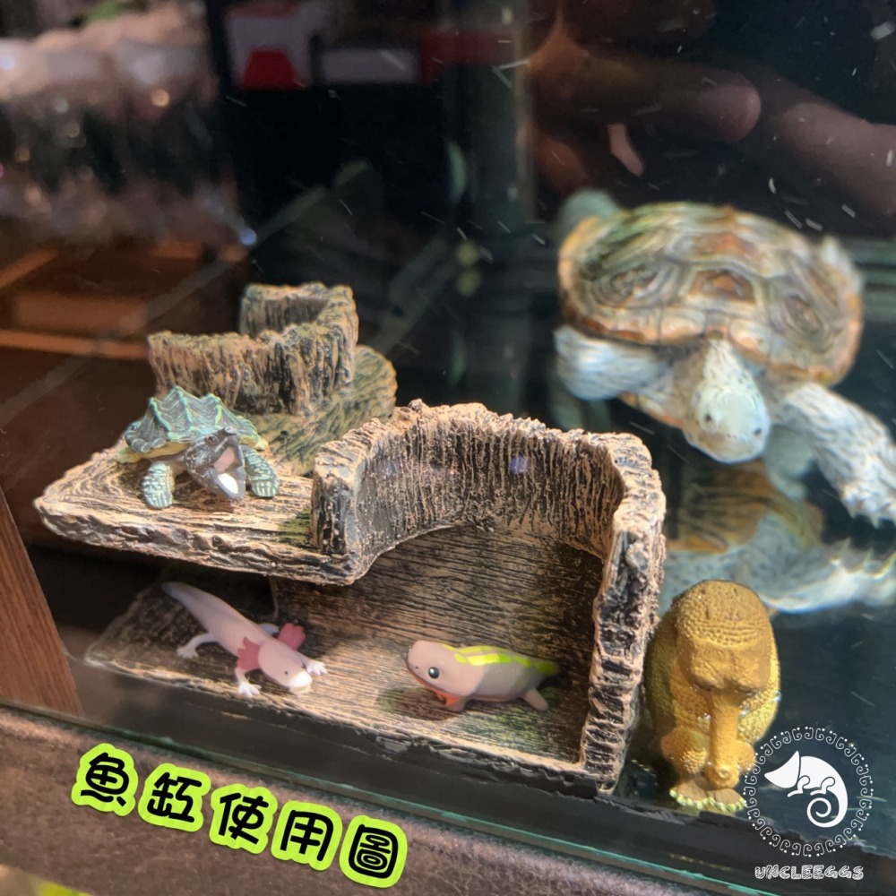 蛋叔叔-角落躲藏洞/半剖式/守宮洞/守宮屋/洞穴/躲藏洞/躲避屋/玉米蛇/蛇洞/肥尾守宮/蠍子/短雕/螯蝦/劍毒蛙/異型-細節圖4