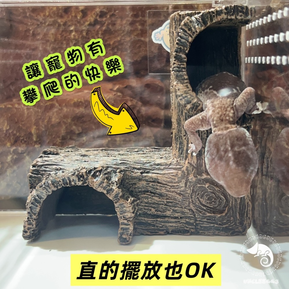 蛋叔叔-角落躲藏洞/半剖式/守宮洞/守宮屋/洞穴/躲藏洞/躲避屋/玉米蛇/蛇洞/肥尾守宮/蠍子/短雕/螯蝦/劍毒蛙/異型-細節圖6