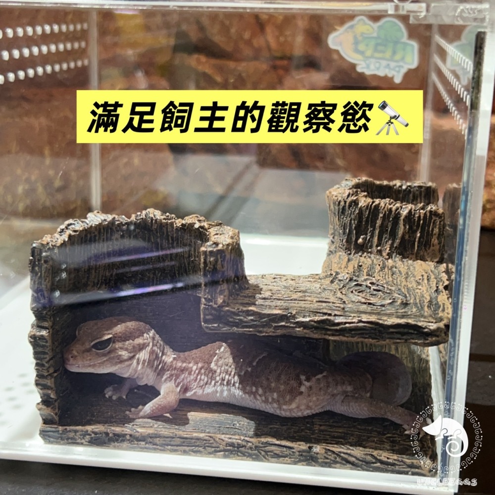 蛋叔叔-角落躲藏洞/半剖式/守宮洞/守宮屋/洞穴/躲藏洞/躲避屋/玉米蛇/蛇洞/肥尾守宮/蠍子/短雕/螯蝦/劍毒蛙/異型-細節圖7
