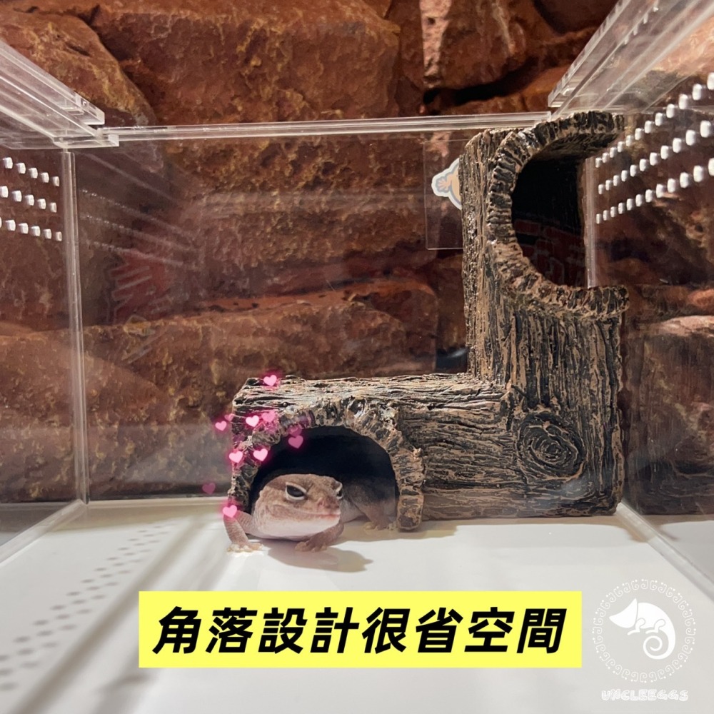 蛋叔叔-角落躲藏洞/半剖式/守宮洞/守宮屋/洞穴/躲藏洞/躲避屋/玉米蛇/蛇洞/肥尾守宮/蠍子/短雕/螯蝦/劍毒蛙/異型-細節圖8