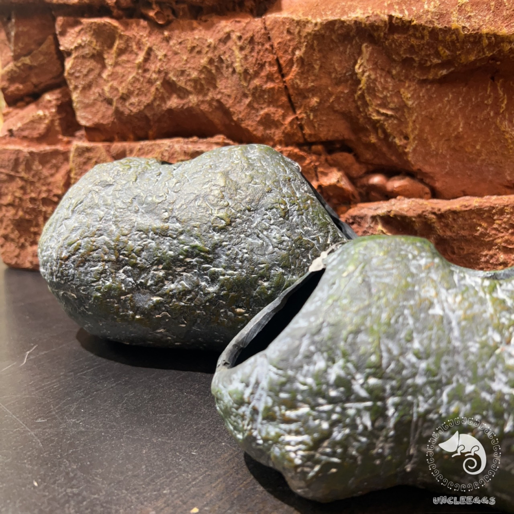 蛋叔叔-Komodo-青苔石洞/石洞/守宮洞/守宮屋/洞穴/造景/蠍子/螯蝦/劍毒蛙/玉米蛇/劍毒蛙/蜘蛛/蛇洞/保濕-細節圖8