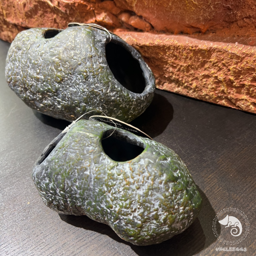 蛋叔叔-Komodo-青苔石洞/石洞/守宮洞/守宮屋/洞穴/造景/蠍子/螯蝦/劍毒蛙/玉米蛇/劍毒蛙/蜘蛛/蛇洞/保濕-細節圖9