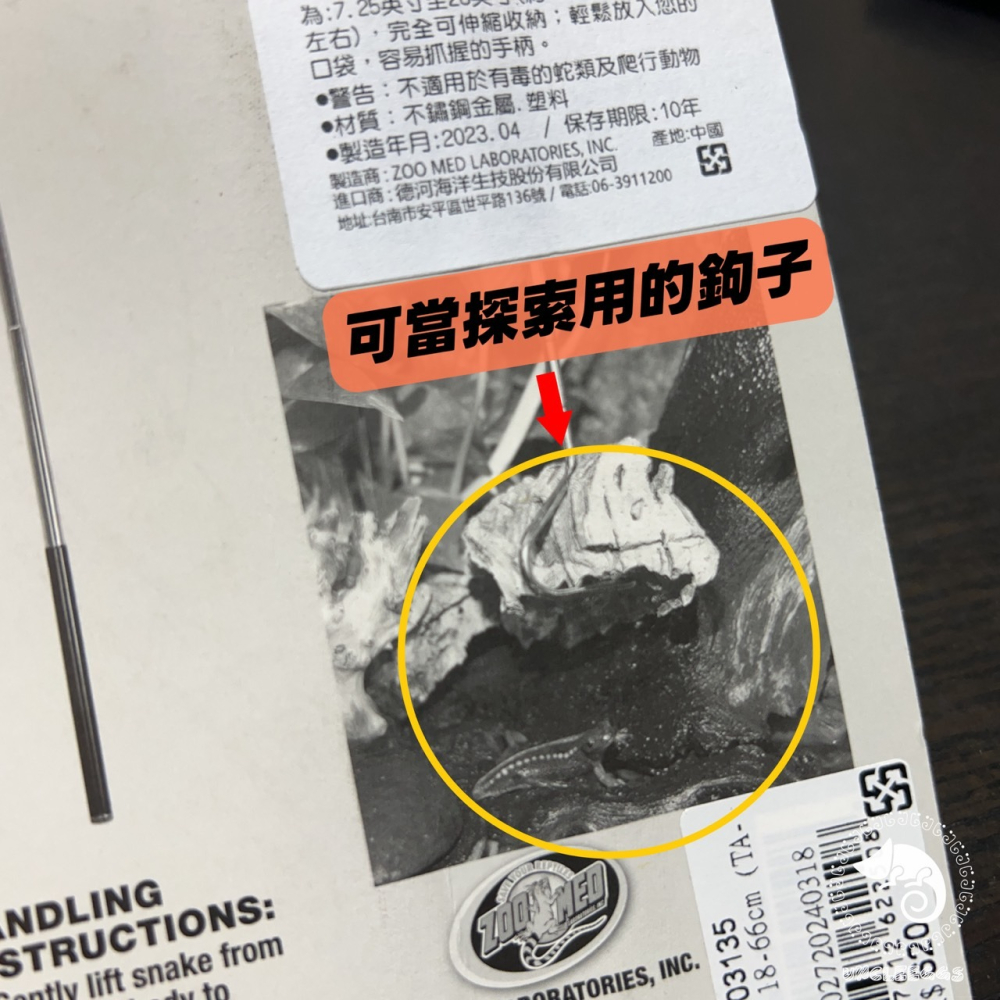 蛋叔叔-Zoomed-蛇杖/伸縮蛇勾/抓蛇/蛇鉤/蛇/蟒/球蟒/蛇勾/登山杖/紅尾/綠樹蟒/白吻蟒/玉米蛇/王蛇/工作室-細節圖2