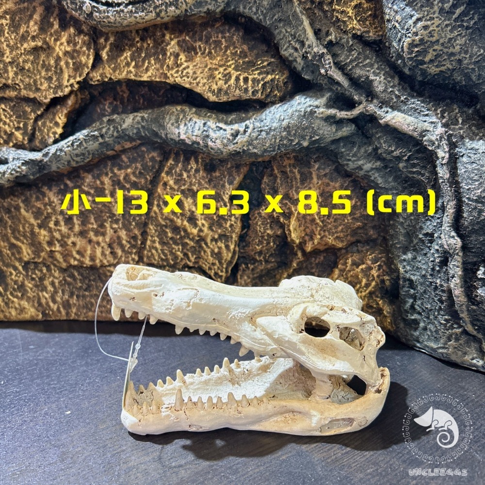 小-13 x 6.3 x 8.5 (cm