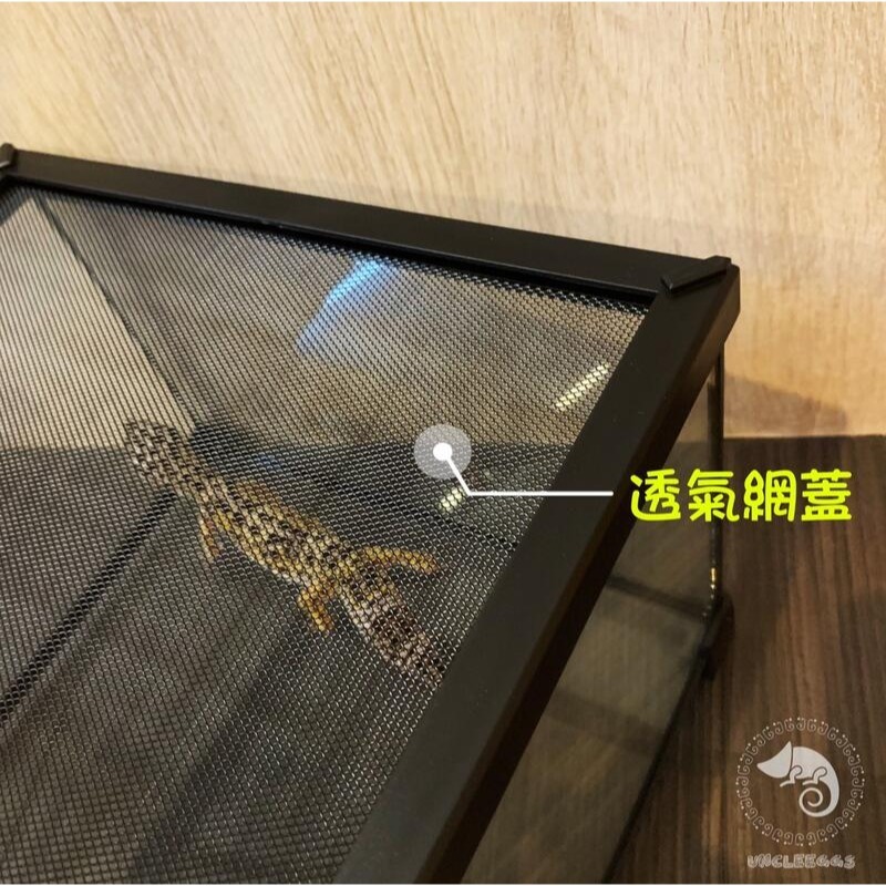 蛋叔叔-NOMO-防逃雨林缸/爬蟲缸/寵物箱/守宮缸/球蟒/蜘蛛/蠍子/角蛙/蠑螈/麝香龜/六角恐龍/屋頂龜/水龜缸-細節圖2
