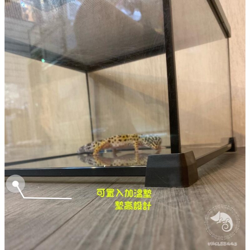 蛋叔叔-NOMO-防逃雨林缸/爬蟲缸/寵物箱/守宮缸/球蟒/蜘蛛/蠍子/角蛙/蠑螈/麝香龜/六角恐龍/屋頂龜/水龜缸-細節圖5