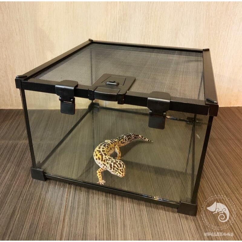 雨林缸M-30x30x20(cm)-建議郵寄