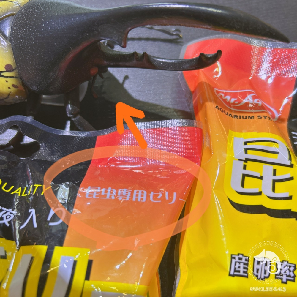 蛋叔叔-IM-昆蟲果凍/甲蟲食物/綜合/水果 /兜蟲/甲蟲/獨角仙/鍬形蟲/金龜/鬼豔/扁鍬/蜜袋鼯/睫角/守宮/藍舌蜥-細節圖2