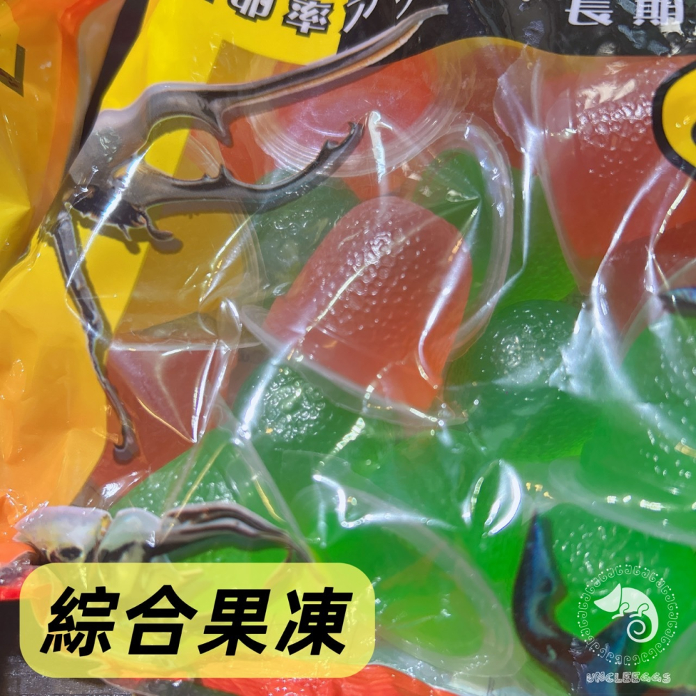 蛋叔叔-IM-昆蟲果凍/甲蟲食物/綜合/水果 /兜蟲/甲蟲/獨角仙/鍬形蟲/金龜/鬼豔/扁鍬/蜜袋鼯/睫角/守宮/藍舌蜥-細節圖4