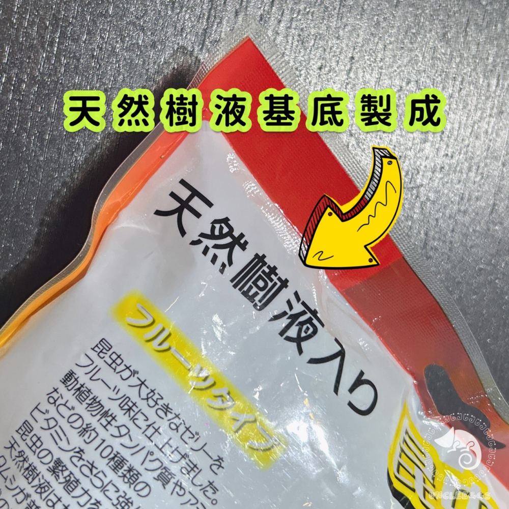 蛋叔叔-IM-昆蟲果凍/甲蟲食物/綜合/水果 /兜蟲/甲蟲/獨角仙/鍬形蟲/金龜/鬼豔/扁鍬/蜜袋鼯/睫角/守宮/藍舌蜥-細節圖7