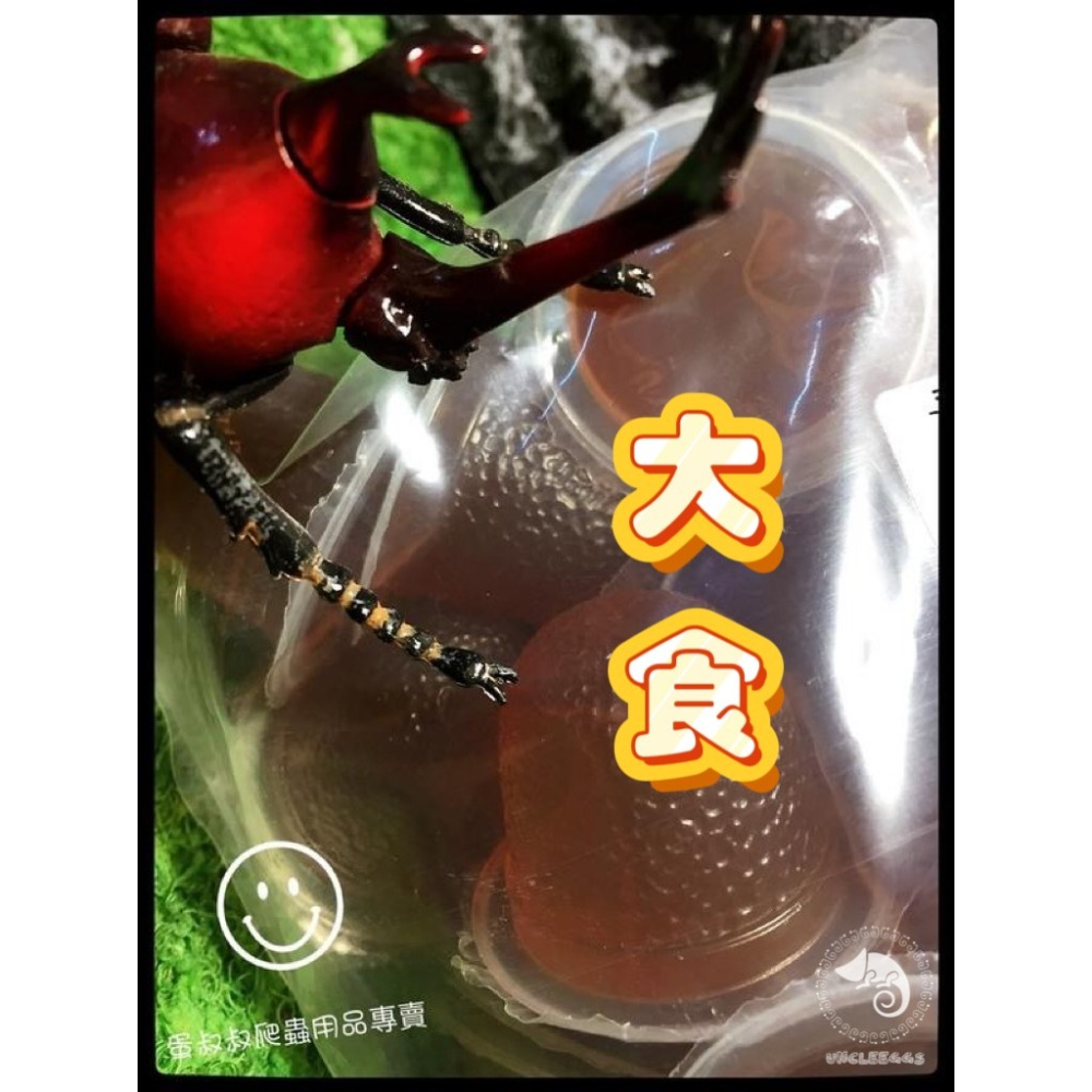 蛋叔叔-IM-昆蟲果凍/甲蟲食物/綜合/水果 /兜蟲/甲蟲/獨角仙/鍬形蟲/金龜/鬼豔/扁鍬/蜜袋鼯/睫角/守宮/藍舌蜥-細節圖8
