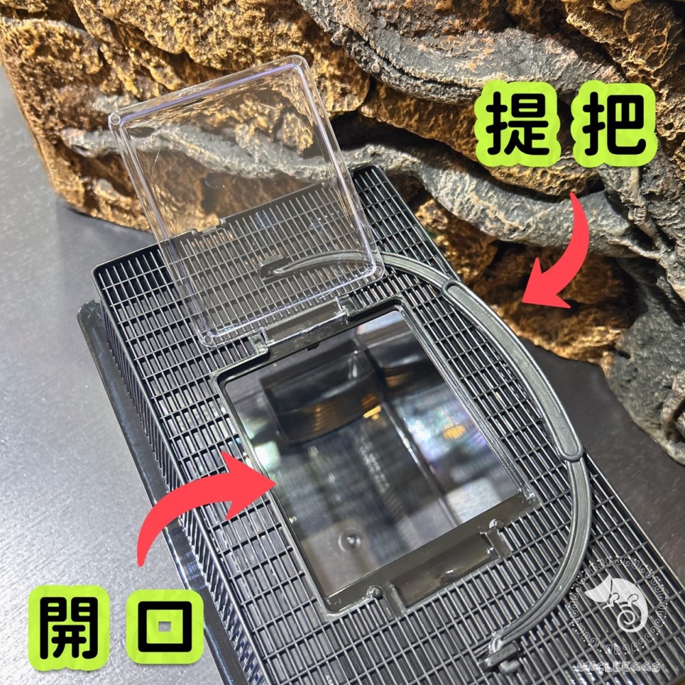 蛋叔叔-KOMODO-蟋蟀飼養餵食盒/餌料/昆蟲觀察盒/昆蟲飼養盒/餵食器/防逃設計/度比亞/餵食棒/餵食器-細節圖7