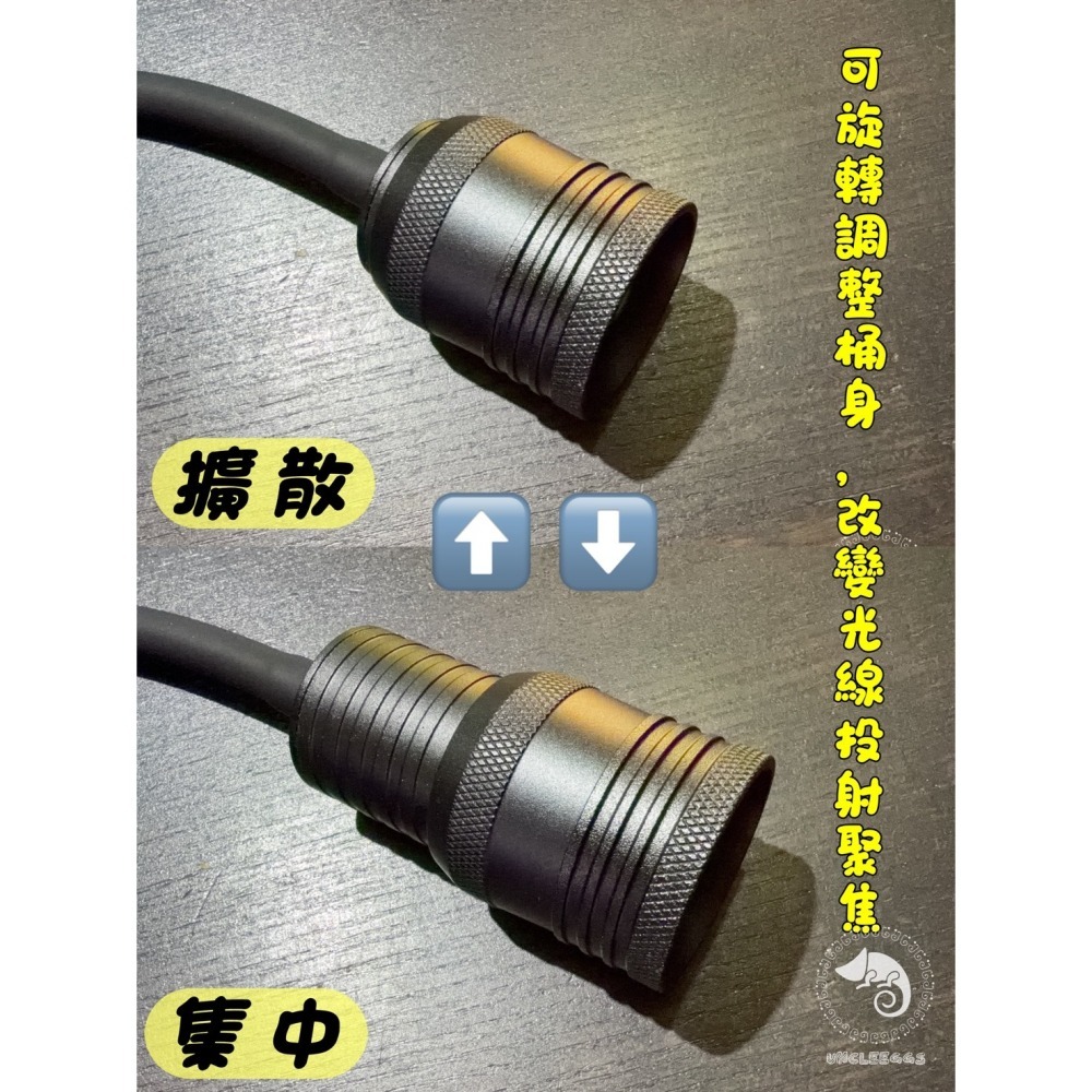 蛋叔叔-多功能投射桶燈/二段式/聚光燈/擴散燈/LED/魚缸燈/投射燈/溪流缸/苔蘚缸/雨林缸/公仔燈/自然光/夾燈-細節圖5